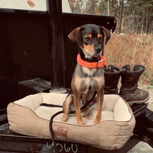 Meet your Posher, Lauren